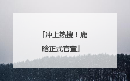 冲上热搜！鹿晗正式官宣