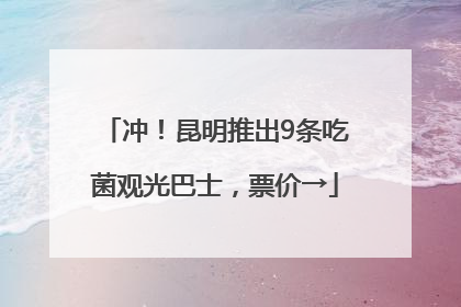 冲！昆明推出9条吃菌观光巴士，票价→