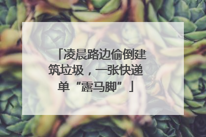 凌晨路边偷倒建筑垃圾，一张快递单“露马脚”