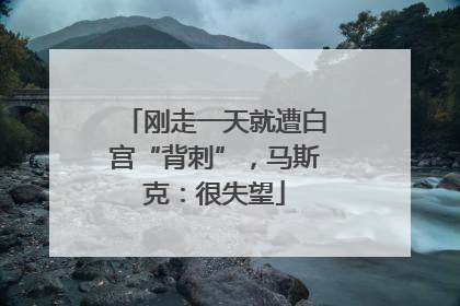 刚走一天就遭白宫“背刺”，马斯克：很失望
