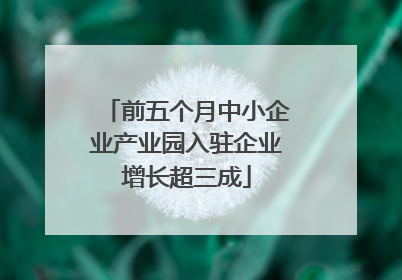 前五个月中小企业产业园入驻企业增长超三成
