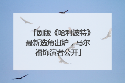 剧版《哈利波特》最新选角出炉，马尔福饰演者公开