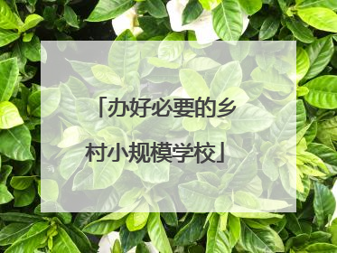 办好必要的乡村小规模学校