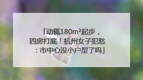 动辄180m²起步，四房打底！杭州女子犯愁：市中心没小户型了吗