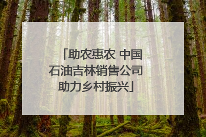 助农惠农 中国石油吉林销售公司助力乡村振兴