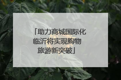 助力商城国际化 临沂将实现购物旅游新突破