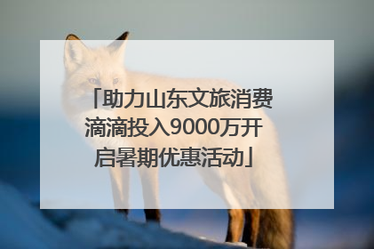 助力山东文旅消费 滴滴投入9000万开启暑期优惠活动