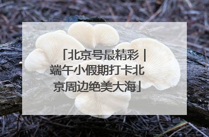 北京号最精彩｜端午小假期打卡北京周边绝美大海