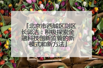 北京市西城区副区长郭洁：积极探索金融科技创新监管的新模式和新方法