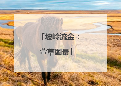 坡岭流金：萱草图景