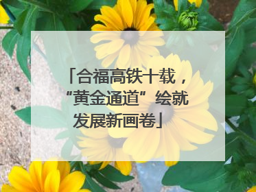 合福高铁十载，“黄金通道”绘就发展新画卷