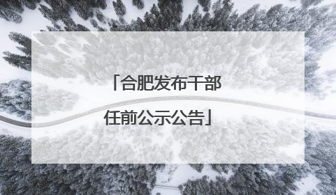 合肥发布干部任前公示公告