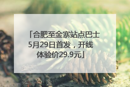 合肥至金寨站点巴士5月29日首发，开线体验价29.9元