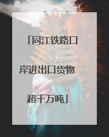 同江铁路口岸进出口货物超千万吨