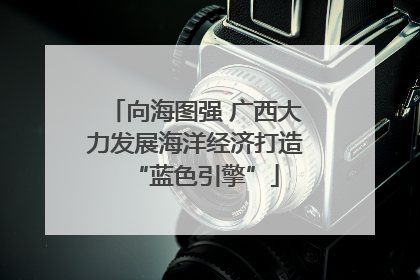 向海图强 广西大力发展海洋经济打造“蓝色引擎”