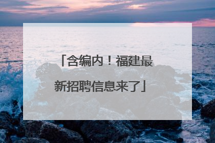 含编内！福建最新招聘信息来了