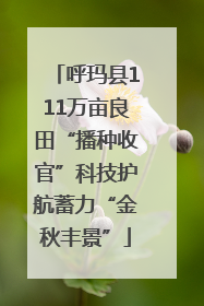 呼玛县111万亩良田“播种收官”科技护航蓄力“金秋丰景”