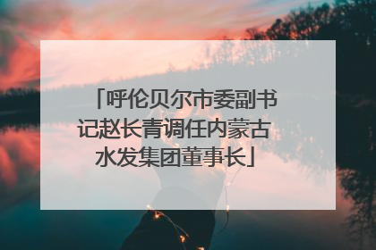 呼伦贝尔市委副书记赵长青调任内蒙古水发集团董事长