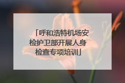 呼和浩特机场安检护卫部开展人身检查专项培训