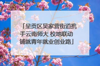 呈贡区吴家营街道携手云南师大 校地联动铺就青年就业创业路