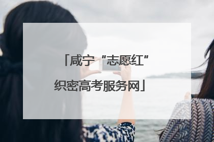 咸宁“志愿红”织密高考服务网