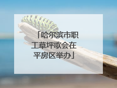 哈尔滨市职工草坪歌会在平房区举办