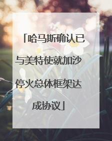 哈马斯确认已与美特使就加沙停火总体框架达成协议