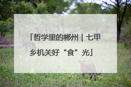哲学里的郴州｜七甲乡机关好“食”光