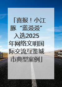 喜报！小江豚“蓝叒叒”入选2025年网络文明国际交流互鉴城市典型案例