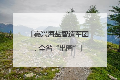 嘉兴海盐智造军团，全省“出圈”