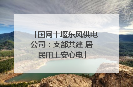 国网十堰东风供电公司：支部共建 居民用上安心电