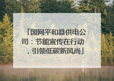 国网平和县供电公司：节能宣传在行动，引领低碳新风尚