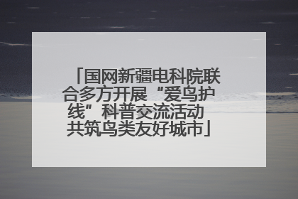 国网新疆电科院联合多方开展“爱鸟护线”科普交流活动 共筑鸟类友好城市