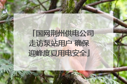 国网荆州供电公司走访泵站用户 确保迎峰度夏用电安全