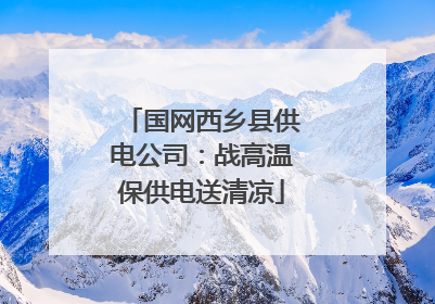 国网西乡县供电公司：战高温保供电送清凉