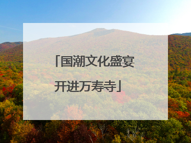 国潮文化盛宴开进万寿寺