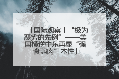 国际观察丨“极为恶劣的先例”——美国横逆中东再显“强食弱肉”本性