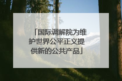 国际调解院为维护世界公平正义提供新的公共产品