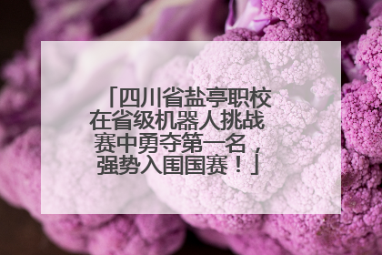 四川省盐亭职校在省级机器人挑战赛中勇夺第一名，强势入围国赛！