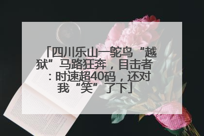 四川乐山一鸵鸟“越狱”马路狂奔，目击者：时速超40码，还对我“笑”了下