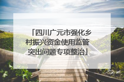 四川广元市强化乡村振兴资金使用监管突出问题专项整治