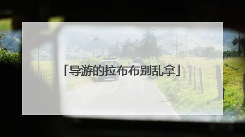 导游的拉布布别乱拿