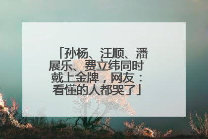 孙杨、汪顺、潘展乐、费立纬同时戴上金牌，网友：看懂的人都哭了