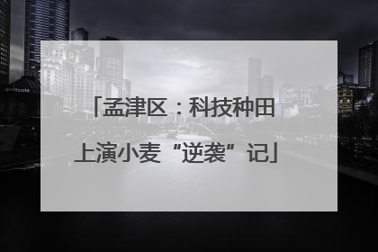 孟津区：科技种田 上演小麦“逆袭”记