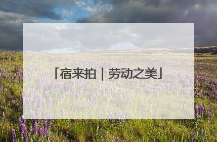 宿来拍｜劳动之美