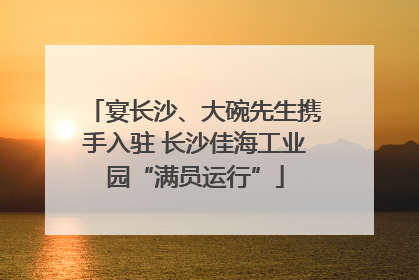 宴长沙、大碗先生携手入驻 长沙佳海工业园“满员运行”