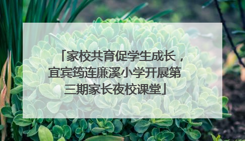 家校共育促学生成长，宜宾筠连廉溪小学开展第三期家长夜校课堂