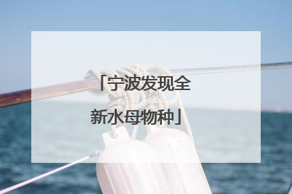 宁波发现全新水母物种