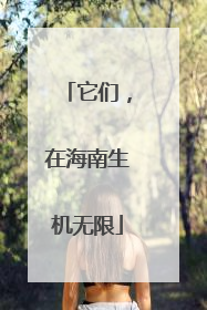 它们，在海南生机无限