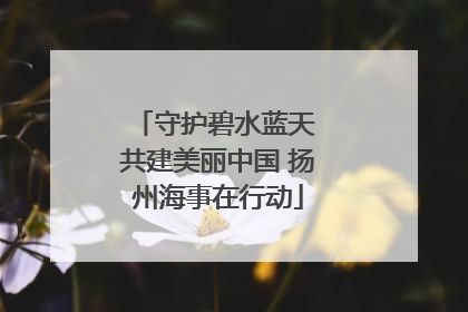 守护碧水蓝天 共建美丽中国 扬州海事在行动